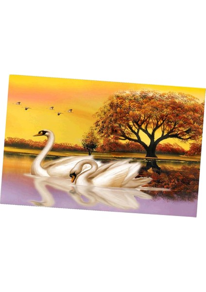 Yetişkinler Numara Kitlerine Göre Boya Swan Lover (Yurt Dışından)