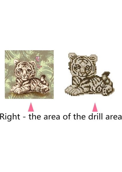Dıy 5d Elmas Resim Numara Kiti Numaralar Çapraz Dikiş Arts Craft Tuval Duvar Dekor 25X25CM - Tiger (Yurt Dışından)