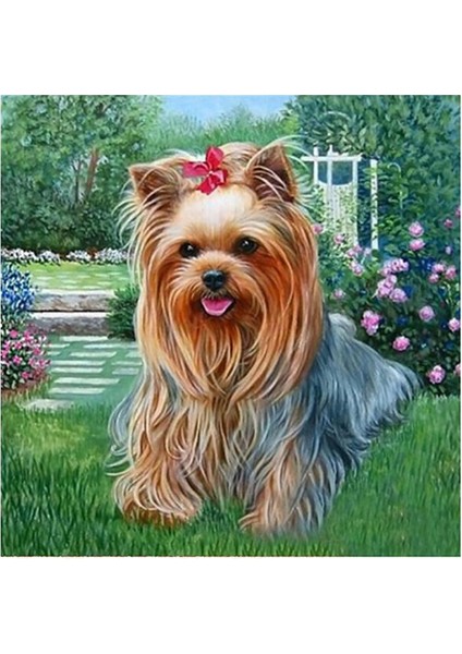 Kristal Nakış Kitleri Sanat Ev Dekorasyon Köpeği (Yurt Dışından)