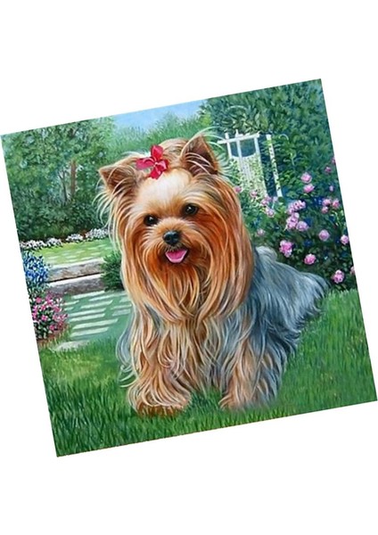 Kristal Nakış Kitleri Sanat Ev Dekorasyon Köpeği (Yurt Dışından) fırsatları