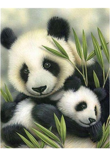 Dıy 5d Hayvan Elmas Resim Nakış Çapraz Dikiş Kiti Ev Dekor Panda (Yurt Dışından)