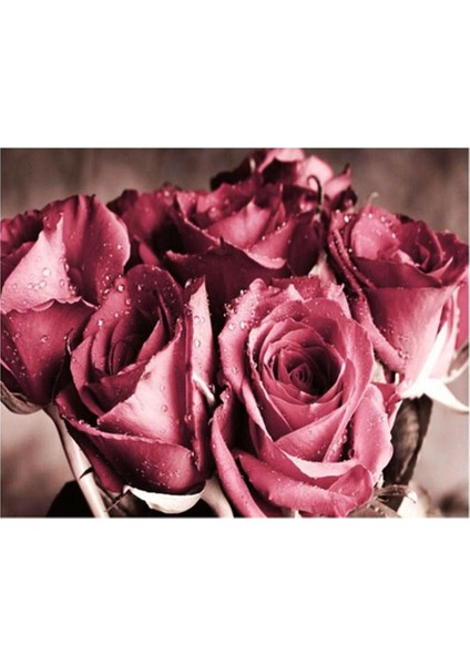 Dıy Elmas Boyama Kiti Çapraz Dikiş Resim Diy El El Sanatları Home-Decor 106 (Yurt Dışından)