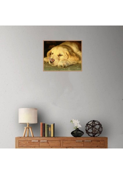 Hayvan Dıy 5d Elmas Resim Numara Kitleri, Kristal Rhinestone Nakış Resimleri Resimler Sanat El Sanatları Ev Duvar Dekoru - Köpek ve Kelebek (Yurt Dışından) fiyatları