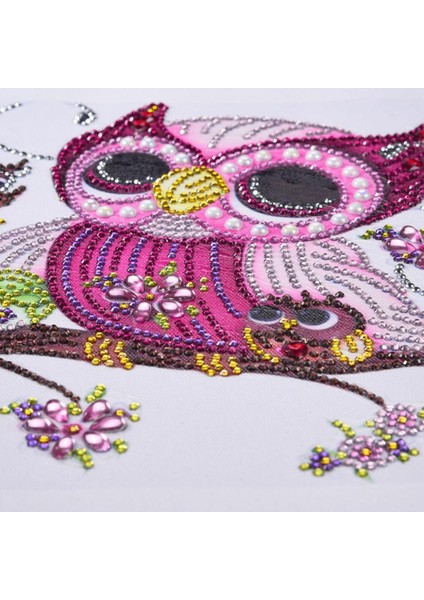 Rhinestone Resimleri Kristaller Nakış Kiti (Yurt Dışından) modelleri