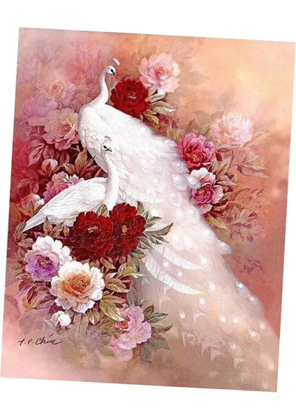 Kristal Nakış Kitleri Arts Home Decoration Peacock (Yurt Dışından) modelleri