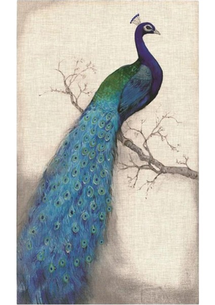 Peacock Diy 5d Elmas Resim Nakış Çapraz Dikiş Kiti Ev Dekoru A (Yurt Dışından)