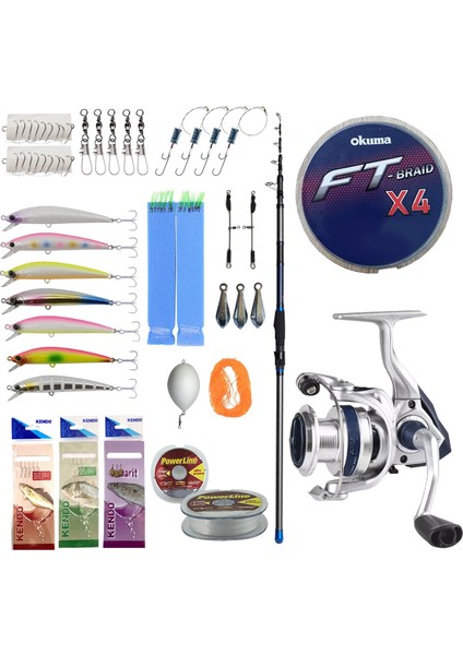 Profesyonel Hazır Olta Seti Dam Imax 4.20M 100-250G Surf Kamışı&okuma ARIA-5000A Painting Silver 1bb Olta Makinesi