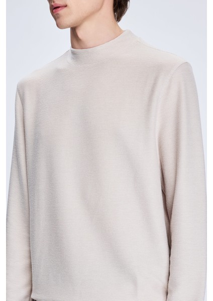 Taş Regular Fit Jakarlı Yarım Balıkçı Yaka Sweatshirt
