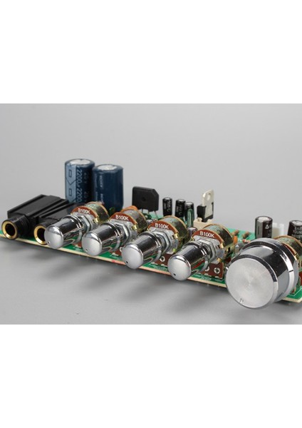 Dijital Mikrofon Amplifikatör Ton Kurulu PT2399 Karaoke Reverb Preamplifikatör Kurulu Çift AC12-15V (Yurt Dışından)