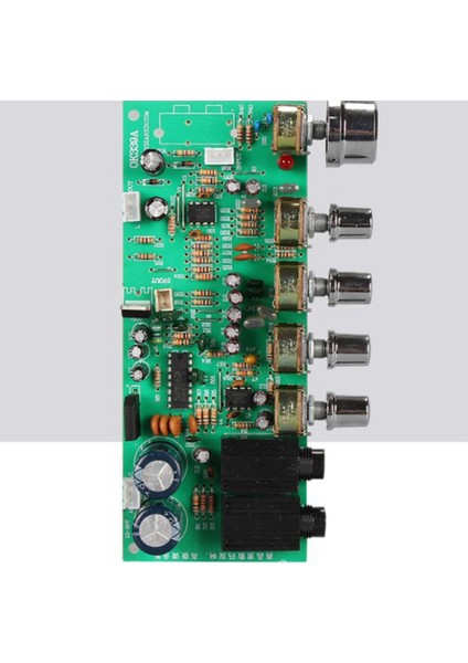 Dijital Mikrofon Amplifikatör Ton Kurulu PT2399 Karaoke Reverb Preamplifikatör Kurulu Çift AC12-15V (Yurt Dışından)