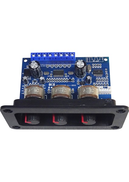 2.1 Kanal Dijital Güç Amplifikatörü Kurulu 2X25W+50W Bluetooth 5.0 Subwoofer D Sınıfı Ses Amplifikatörü Kurulu Dc 12-20V (Yurt Dışından)