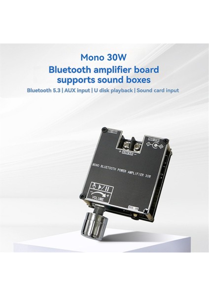 ZK-301B Bluetooth Amplifikatör Kartı Tek Ses 30W Bluetooth Ses Güç Amplifikatörü Modülü Ev Video Aksesuarları (Yurt Dışından)