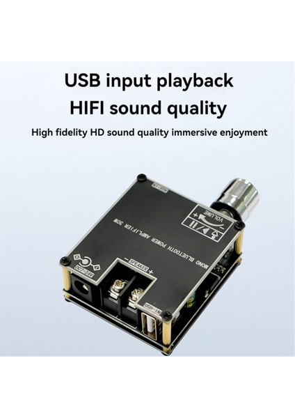 ZK-301B Bluetooth Amplifikatör Kartı Tek Ses 30W Bluetooth Ses Güç Amplifikatörü Modülü Ev Video Aksesuarları (Yurt Dışından)