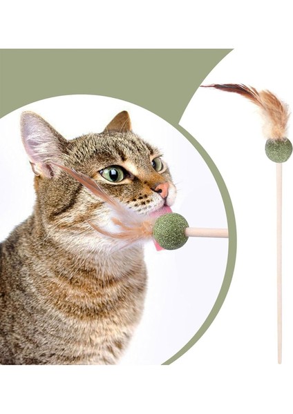 Tüylü Catnipli Kedi Oyun Oltası, Kedi Naneli