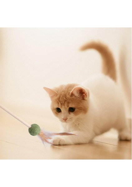 Tüylü Catnipli Kedi Oyun Oltası, Kedi Naneli fiyatları
