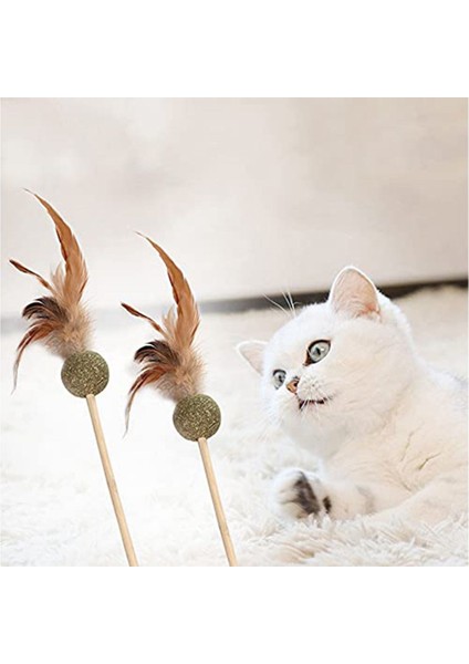 Tüylü Catnipli Kedi Oyun Oltası, Kedi Naneli modelleri