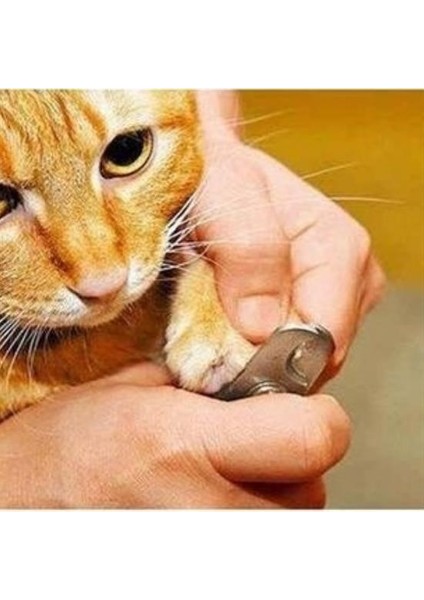 Büro Ev Evcil Hayvanı Için Kaymaz Sap Kedi Köpek Tırnak Makas Törpü Seti modelleri