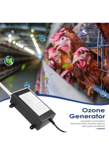 Ozon Jeneratörü 1000MG Ozonizer Su Hava Temizleme Cihazı Temizleyici Arıtma Meyve Sebze Balık Tankı, Ab Tak (Yurt Dışından) fırsatları
