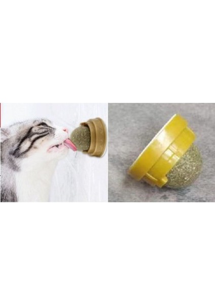 Kedi Nanesi Topu