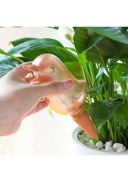 Kuş Şekilli Otomatik Şeffaf Bitki Sulayıcı Iç & Dış Mekan (Yurt Dışından) fiyatları