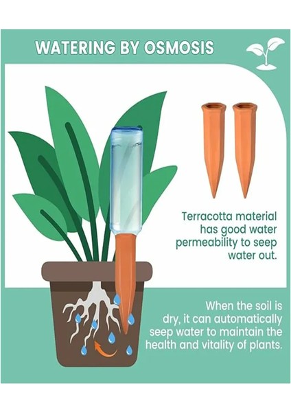 Terakota Şişe ile Otomatik Bitki Sulama Sistemi (Yurt Dışından) fırsatları