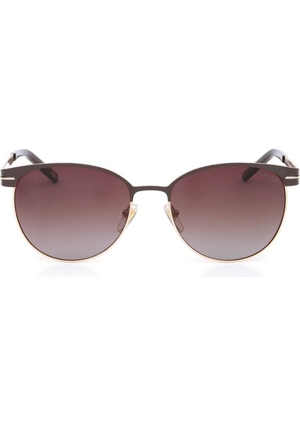 Güneş 1576 02 54-17-135 01.01.157602