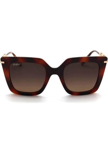 Güneş Gözlüğü Salvatore Ferragamo SF1041S-238