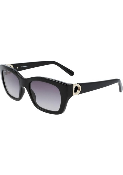 Güneş Gözlüğü Salvatore Ferragamo SF1012S-001 fiyatları