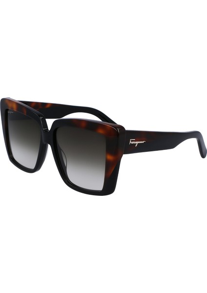 Güneş Gözlüğü Salvatore Ferragamo SF1060S-006 fiyatları