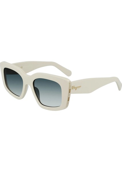 Güneş Gözlüğü Salvatore Ferragamo SF1024S-103 fiyatları