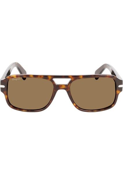 Güneş Gözlüğü Salvatore Ferragamo SF1038S-240