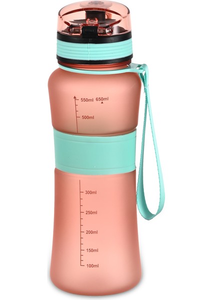 Voıt Fıt Trıtan Suluk 650ML fiyatları