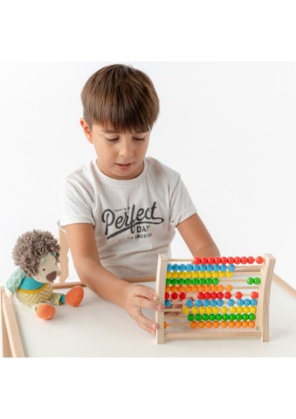 Montessori Renkli Ahşap Abaküs modelleri