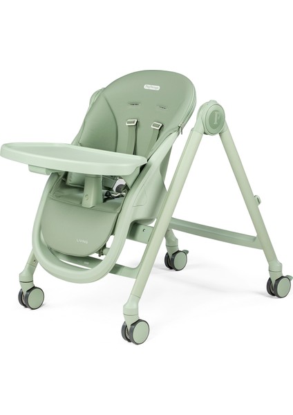 Lıvıng Sage fiyatları