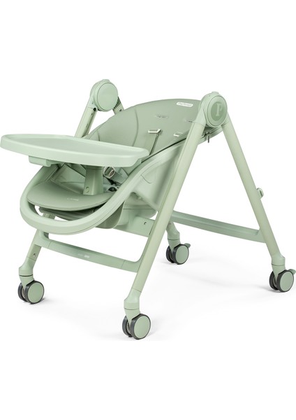 Lıvıng Sage modelleri