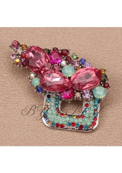 Canlı, Çok Renkli, Modern Broş fırsatları