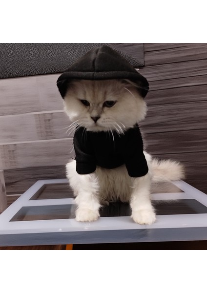 Kedi Köpek için Siyah Kapüşonlu Sweatshirt