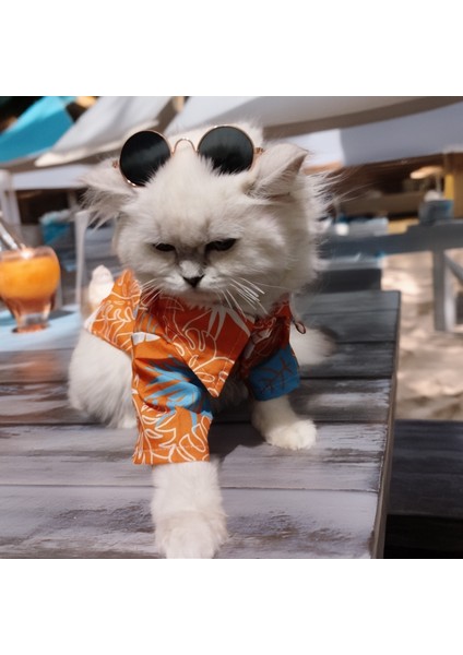Kedi Köpek için Güneş Gözlüklü Hawaii Temalı Yazlık Tshirt fiyatları