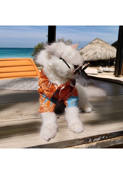 Kedi Köpek için Güneş Gözlüklü Hawaii Temalı Yazlık Tshirt fırsatları