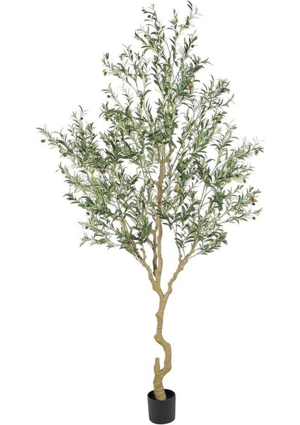 Yapay Zeytin Ağacı Lüx 240 cm Doğal Gövdeli Gerçek Görünümlü Yapay Ağaç