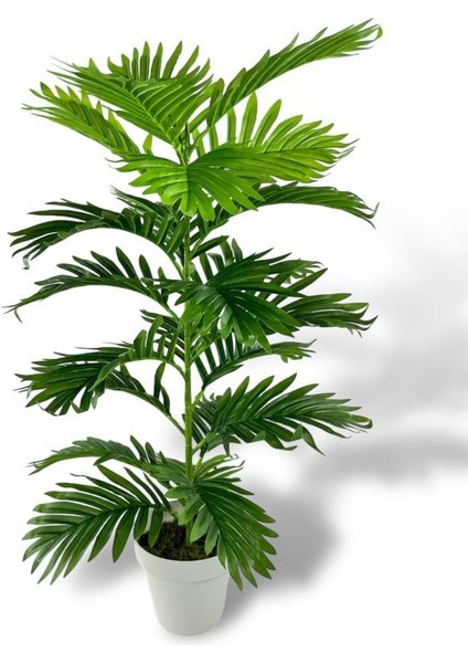 Yapay Çiçek Tropik Areka 80 cm 23 Yapraklı Salon Çiçeği Beyaz Saksılı Yapay Bitki