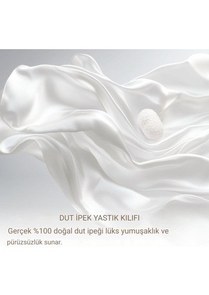Beautiful Arat İpek Yastık kılıfı Saç ve Cilt İçin%100 Saf Dut İpeği Yastık Kılıfı - 6A Yüksek Dereceli Uyku, Gizli Fermuarlı Soğutucu Saten Yastık Kılıfları, ipek (Standart 50x70 modelleri