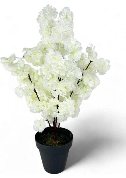 Yapay Ağaç Bahardalı Ağacı Beyaz Japon Kiraz Çiçeği Sakura Çiçeği 70 cm Siyah Plastik Saksılı