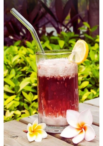 Şeffaf 12 Li Eğimli Cam Pipet fırsatları