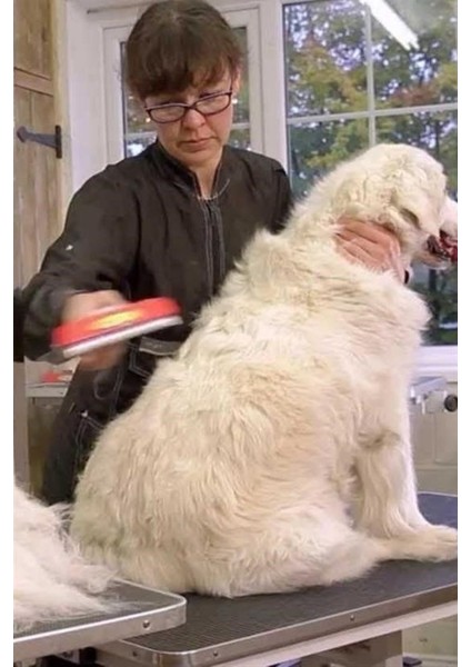 Büro Ev Evcil Hayvanı Için 10CM Uzun Tüylü Köpek Tüy Toplayıcı Tarak