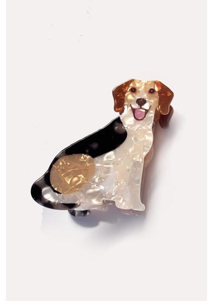 Asil Köpek Asetat Mandal Toka