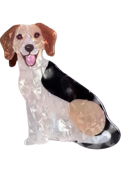 Asil Köpek Asetat Mandal Toka fiyatları