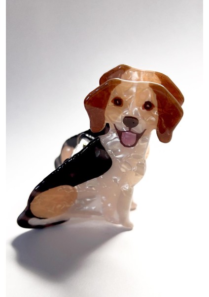 Asil Köpek Asetat Mandal Toka modelleri