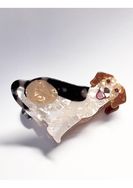 Asil Köpek Asetat Mandal Toka fırsatları