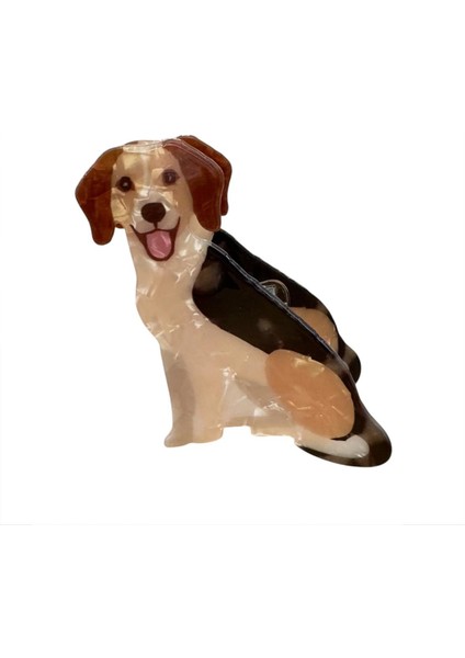 Asil Köpek Asetat Mandal Toka indirimleri